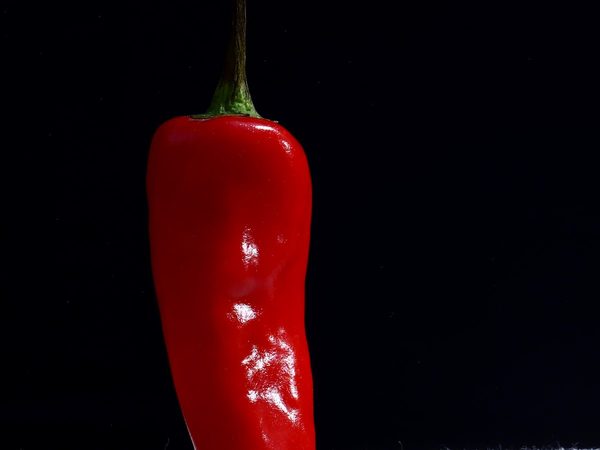 Die Schote, die die Farbe liefert