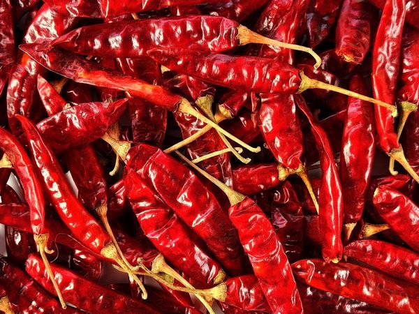 Baccelli tipo Dabbi per il colore