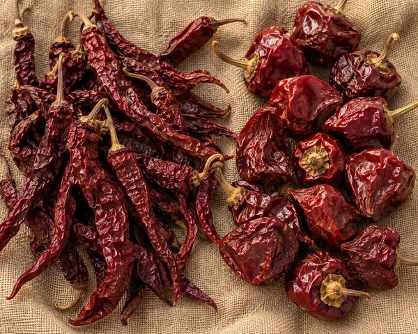 Baccelli Byadgi: rugosi, cremisi profondo